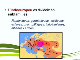 •L’indoeuropeu es divideix en subfamílies: 
–Romàniques, germàniques, cèltiques, eslaves, grec, bàltiques, indoiranianes, albanès i armeni.  
