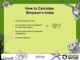 Simpons Index Example Diversity | PPT
