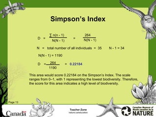 Simpson Index Example Diversity | PPT