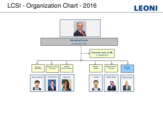 diversity ericsson organizational chart