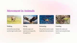Diversity-in-the-Living-World.pdf 6th class science curiosity | PDF