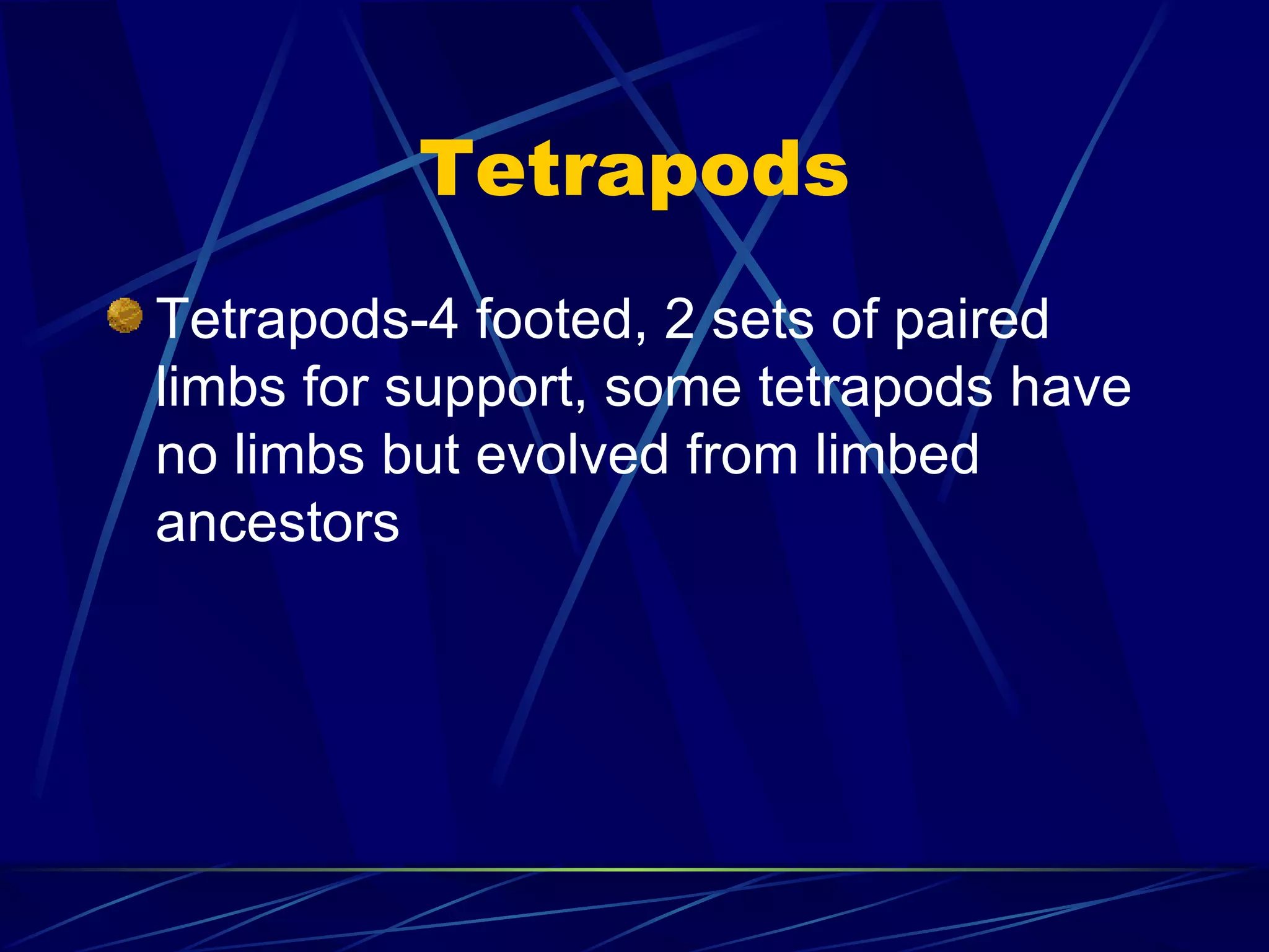 Tetrapods Tetrapods-4 footed, 2 sets of paired limbs for support, some tetrapods have no limbs but evolved from limbed ancestors 