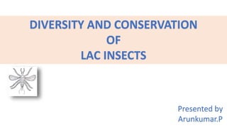 DIVERSITY AND CONSERVATION
OF
LAC INSECTS
Presented by
Arunkumar.P
 