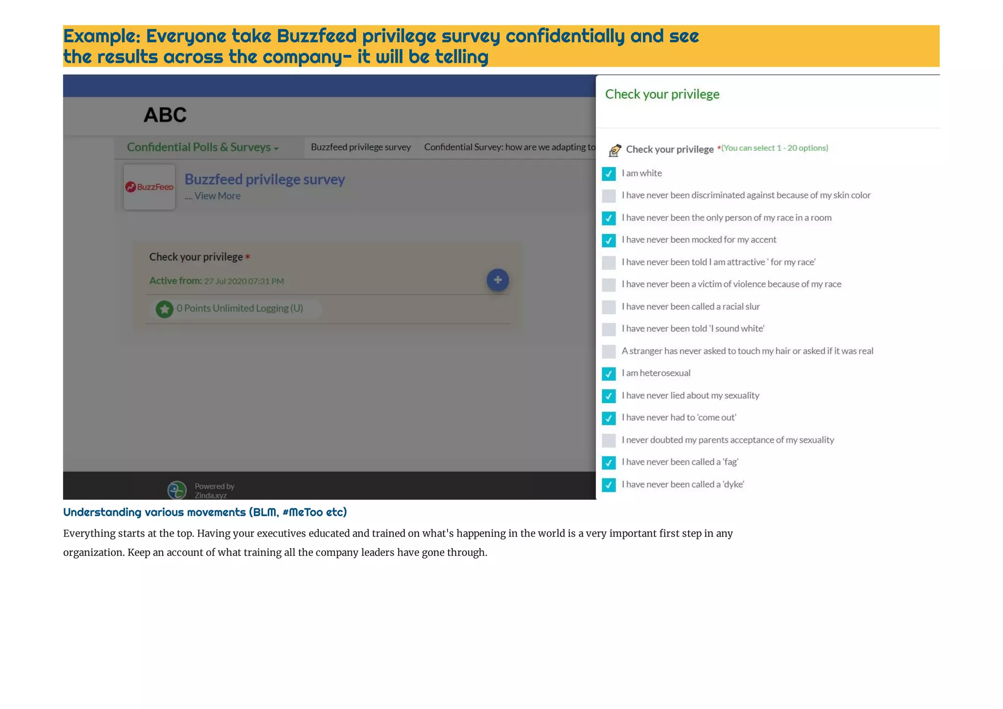 Everything starts at the top. Having your executives educated and trained on what's happening in the world is a very important rst step in any 
organization. Keep an account of what training all the company leaders have gone through. 
Understanding various movements (BLM, #MeToo etc)
Example: Everyone take Buzzfeed privilege survey confidentially and see
the results across the company- it will be telling 
 