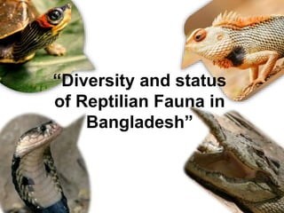 “Diversity and status
of Reptilian Fauna in
Bangladesh”
 