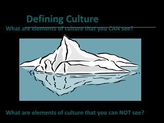 Defining Culture What are elements of culture that you CAN see? What are elements of culture that you can NOT see? 