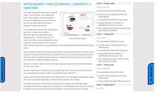 Diversity canvasses   rapid freelance solutions2