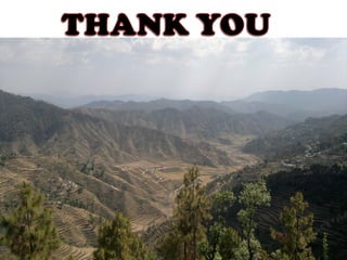 Diversity Techniques By Diwaker Pant   October 9, 2012   36
 