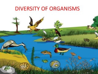DIVERSITY OF ORGANISMS
 