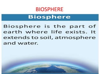 BIOSPHERE
 