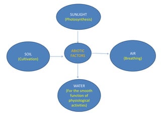 ABIOTIC
FACTORS
SUNLIGHT
(Photosynthesis)
AIR
(Breathing)
SOIL
(Cultivation)
WATER
(For the smooth
function of
physiological
activities)
 