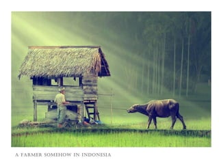 a farmer somehow in indonesia
 