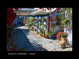 pátio in córdoba / spain
 