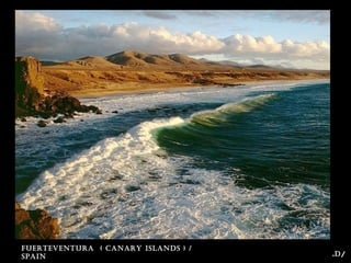 fuerteventura ( Canary islands ) /
sPain /d.
 