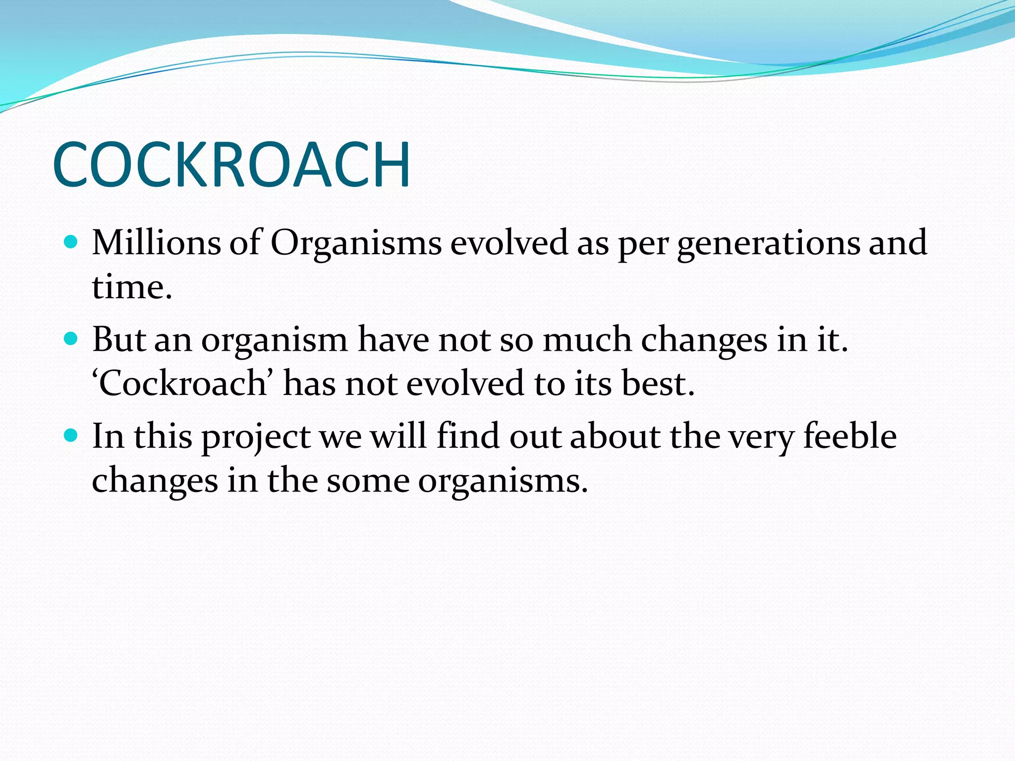 COCKROACH
 Millions of Organisms evolved as per generations and
  time.
 But an organism have not so much changes in it.
  ‘Cockroach’ has not evolved to its best.
 In this project we will find out about the very feeble
  changes in the some organisms.
 
