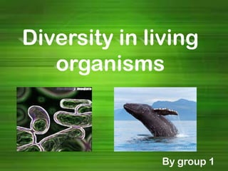 Diversity in living
organisms
By group 1
 