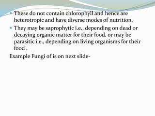  These do not contain chlorophyll and hence are

heterotropic and have diverse modes of nutrition.
 They may be saprophytic i.e., depending on dead or
decaying organic matter for their food, or may be
parasitic i.e., depending on living organisms for their
food .
Example Fungi of is on next slide-

 