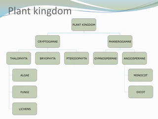 Plant kingdom
PLANT KINGDOM

CRYPTOGAMAE

THALOPHYTA

BRYOPHYTA

PHANEROGAMAE

PTERIDOPHYTA

GYMNOSPERMAE

ANGIOSPERMAE

ALGAE

MONOCOT

FUNGI

DICOT

LICHENS

 
