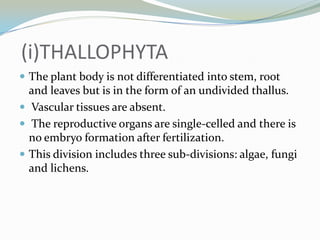 (i)THALLOPHYTA
 The plant body is not differentiated into stem, root

and leaves but is in the form of an undivided thallus.
 Vascular tissues are absent.
 The reproductive organs are single-celled and there is
no embryo formation after fertilization.
 This division includes three sub-divisions: algae, fungi
and lichens.

 