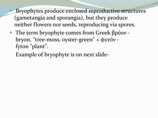  Bryophytes produce enclosed reproductive structures

(gametangia and sporangia), but they produce
neither flowers nor seeds, reproducing via spores.
 The term bryophyte comes from Greek βρύον bryon, "tree-moss, oyster-green" + φυτόν fyton "plant".
Example of bryophyte is on next slide-

 