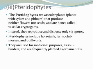 (iii)Pteridophytes
 The Pteridophytes are vascular plants (plants

with xylem and phloem) that produce
neither flowers nor seeds, and are hence called
vascular cryptogams.
 Instead, they reproduce and disperse only via spores.
 Pteridophytes include horsetails, ferns, club
mosses, and quillworts.
 They are used for medicinal purposes, as soil binders, and are frequently planted as ornamentals.

 
