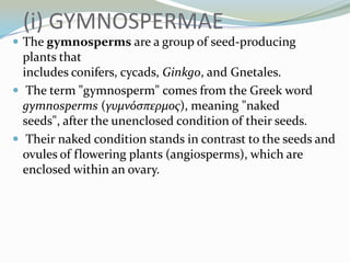 (i) GYMNOSPERMAE
 The gymnosperms are a group of seed-producing

plants that
includes conifers, cycads, Ginkgo, and Gnetales.
 The term "gymnosperm" comes from the Greek word
gymnosperms (γυμνόςπερμοσ), meaning "naked
seeds", after the unenclosed condition of their seeds.
 Their naked condition stands in contrast to the seeds and
ovules of flowering plants (angiosperms), which are
enclosed within an ovary.

 