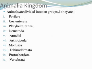 Animalia Kingdom
 Animals are divided into ten groups & they are :-

Porifera
ii. Coelenterate
iii. Platyhelminthes
iv. Nematoda
v. Annelid
vi. Arthropoda
vii. Mollusca
viii. Echinodermata
ix. Protochordata
x. Vertebrata
i.

 