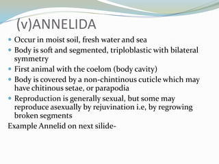 (v)ANNELIDA
 Occur in moist soil, fresh water and sea
 Body is soft and segmented, triploblastic with bilateral

symmetry
 First animal with the coelom (body cavity)
 Body is covered by a non-chintinous cuticle which may
have chitinous setae, or parapodia
 Reproduction is generally sexual, but some may
reproduce asexually by rejuvination i.e, by regrowing
broken segments
Example Annelid on next silide-

 