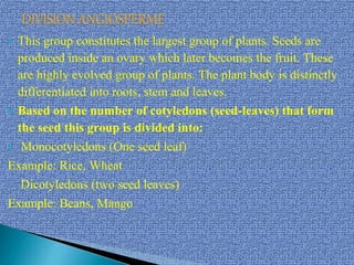  This group constitutes the largest group of plants. Seeds are
produced inside an ovary which later becomes the fruit. These
are highly evolved group of plants. The plant body is distinctly
differentiated into roots, stem and leaves.
 Based on the number of cotyledons (seed-leaves) that form
the seed this group is divided into:
 Monocotyledons (One seed leaf)
Example: Rice, Wheat
Dicotyledons (two seed leaves)
Example: Beans, Mango
 