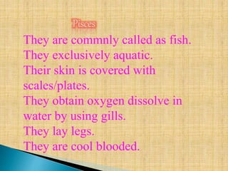 Pisces
They are commnly called as fish.
They exclusively aquatic.
Their skin is covered with
scales/plates.
They obtain oxygen dissolve in
water by using gills.
They lay legs.
They are cool blooded.
 