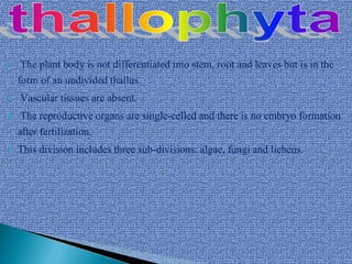  The plant body is not differentiated into stem, root and leaves but is in the
form of an undivided thallus.
 Vascular tissues are absent.
 The reproductive organs are single-celled and there is no embryo formation
after fertilization.
 This division includes three sub-divisions: algae, fungi and lichens.
 