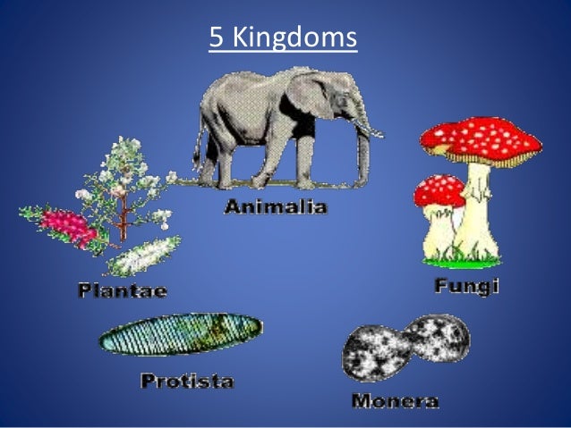 Diversity in living organisms