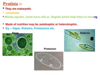 Protista :-
 They are eukaryotic
 unicellular
 Mostly aquatic, some have cilia or flagella which help them in moving
 Mode of nutrition may be autotrophic or heterotrophic.
 Eg :- Algae, Diatoms, Protozoans etc.
Algae
Protozoan
Diatoms
 