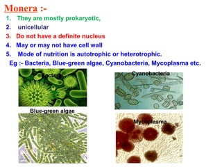 Monera :-
1. They are mostly prokaryotic,
2. unicellular
3. Do not have a definite nucleus
4. May or may not have cell wall
5. Mode of nutrition is autotrophic or heterotrophic.
Eg :- Bacteria, Blue-green algae, Cyanobacteria, Mycoplasma etc.
Bacteria
Blue-green algae
Cyanobacteria
Mycoplasma
 