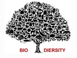 BIO DIERSITY
 