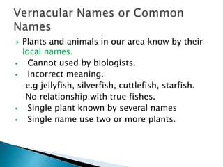  Plants and animals in our area know by their
local names.
 Cannot used by biologists.
 Incorrect meaning.
e.g jellyfish, silverfish, cuttlefish, starfish.
No relationship with true fishes.
 Single plant known by several names
 Single name use two or more plants.
 
