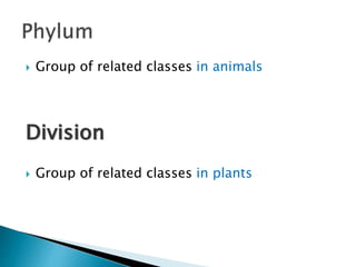  Group of related classes in animals
Division
 Group of related classes in plants
 