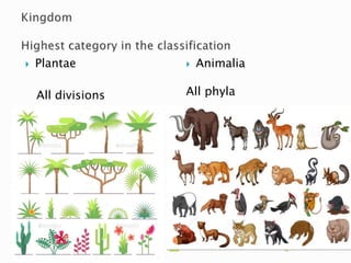  Plantae
All divisions
 Animalia
All phyla
 