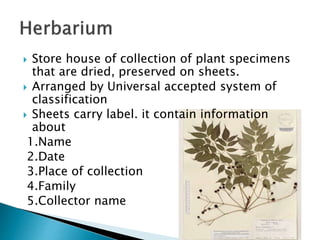  Store house of collection of plant specimens
that are dried, preserved on sheets.
 Arranged by Universal accepted system of
classification
 Sheets carry label. it contain information
about
1.Name
2.Date
3.Place of collection
4.Family
5.Collector name
 