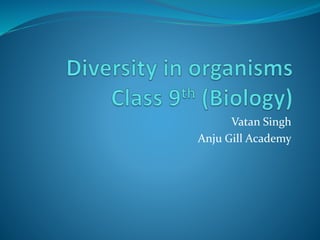 Vatan Singh
Anju Gill Academy
 
