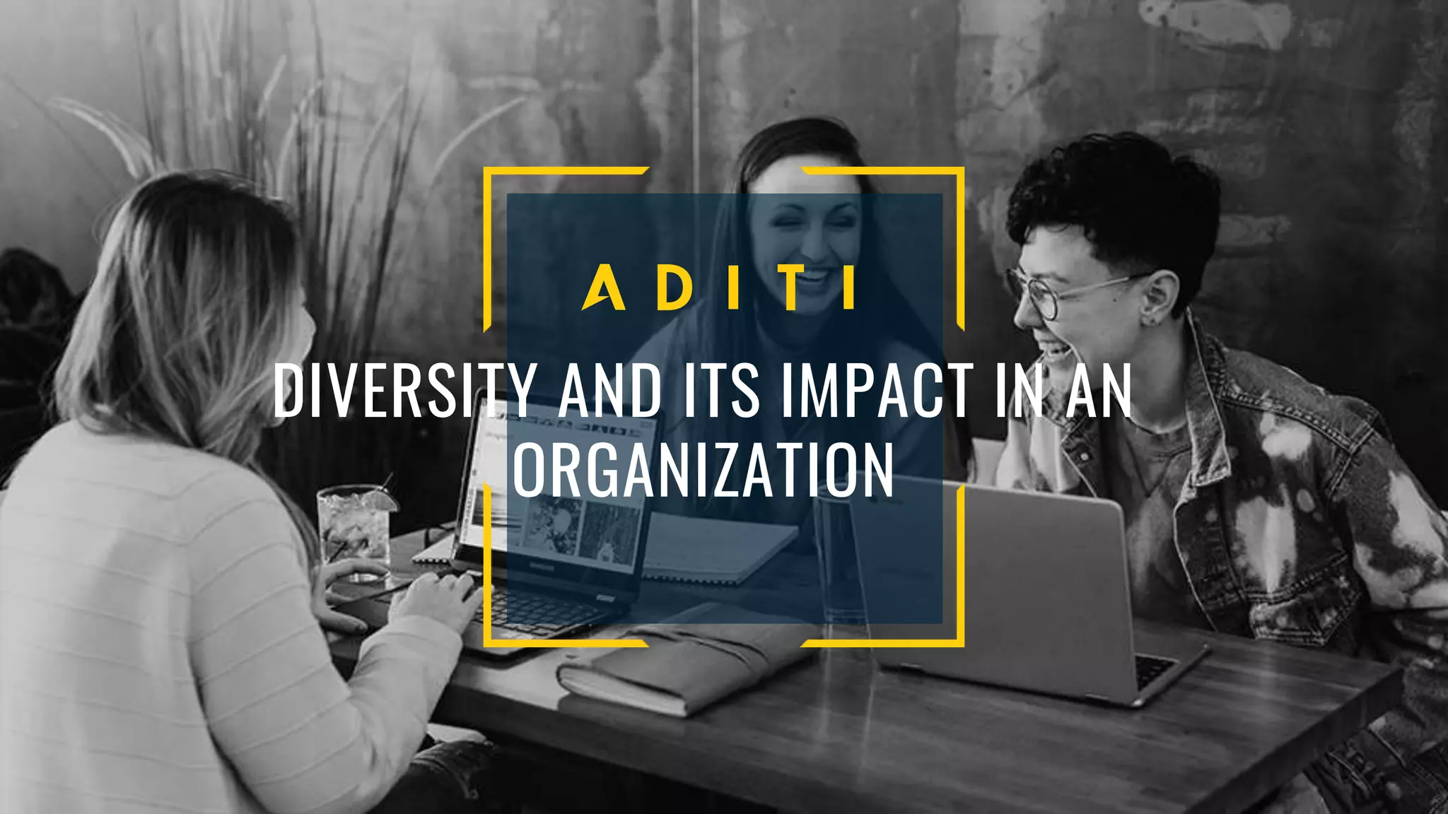Diversity And Its Impact In An Organization | PPTX
