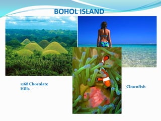 BOHOL ISLAND




    Kayaking


1268 Chocolate
                                Clownfish
Hills
 