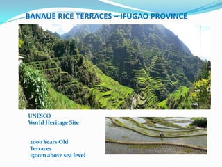 BANAUE RICE TERRACES – IFUGAO PROVINCE




UNESCO
World Heritage Site


 2000 Years Old
 Terraces
 1500m above sea level
 