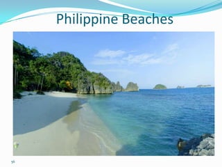 Philippine Beaches




56
 
