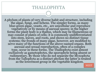 THALLOPHYTA

A phylum of plants of very diverse habit and structure, including
      the algae, fungi, and lichens. The simpler forms, as many
     blue-green algae, yeasts, etc., are unicellular and reproduce
      vegetatively or by means of asexual spores; in the higher
  forms the plant body is a thallus, which may be filamentous or
   may consist of plates of cells; it is commonly undifferentiated
      into stem, leaves, and roots, and shows no distinct tissue
    systems; the fronds of many algae, however, are modified to
   serve many of the functions of the above-named organs. Both
         asexual and sexual reproduction, often of a complex
       type, occur in these forms. The Thallophyta exist almost
    exclusively as gametophytes, the sporophyte being absent or
     rudimentary. By those who do not separate the Myxophyta
    from the Tallophyta as a distinct phylum the latter is treated
          as the lowermost group in the vegetable kingdom.
                                                            NEXT
 
