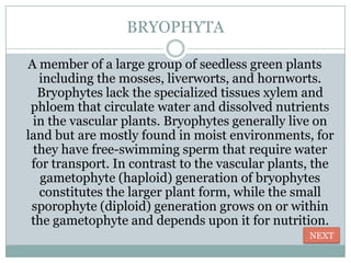 BRYOPHYTA

A member of a large group of seedless green plants
  including the mosses, liverworts, and hornworts.
  Bryophytes lack the specialized tissues xylem and
 phloem that circulate water and dissolved nutrients
 in the vascular plants. Bryophytes generally live on
land but are mostly found in moist environments, for
 they have free-swimming sperm that require water
 for transport. In contrast to the vascular plants, the
   gametophyte (haploid) generation of bryophytes
  constitutes the larger plant form, while the small
 sporophyte (diploid) generation grows on or within
 the gametophyte and depends upon it for nutrition.
                                                  NEXT
 
