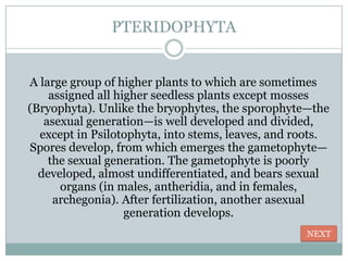 PTERIDOPHYTA


A large group of higher plants to which are sometimes
    assigned all higher seedless plants except mosses
(Bryophyta). Unlike the bryophytes, the sporophyte—the
   asexual generation—is well developed and divided,
  except in Psilotophyta, into stems, leaves, and roots.
Spores develop, from which emerges the gametophyte—
    the sexual generation. The gametophyte is poorly
  developed, almost undifferentiated, and bears sexual
      organs (in males, antheridia, and in females,
     archegonia). After fertilization, another asexual
                   generation develops.
                                                   NEXT
 