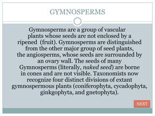 GYMNOSPERMS

       Gymnosperms are a group of vascular
      plants whose seeds are not enclosed by a
  ripened (fruit). Gymnosperms are distinguished
     from the other major group of seed plants,
  the angiosperms, whose seeds are surrounded by
          an ovary wall. The seeds of many
   Gymnosperms (literally, naked seed) are borne
   in cones and are not visible. Taxonomists now
      recognize four distinct divisions of extant
gymnospermous plants (coniferophyta, cycadophyta,
           ginkgophyta, and gnetophyta).
                                             NEXT
 