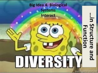 …inStructureand
Function
Big Idea 4: Biological
Systems
Interact
 
