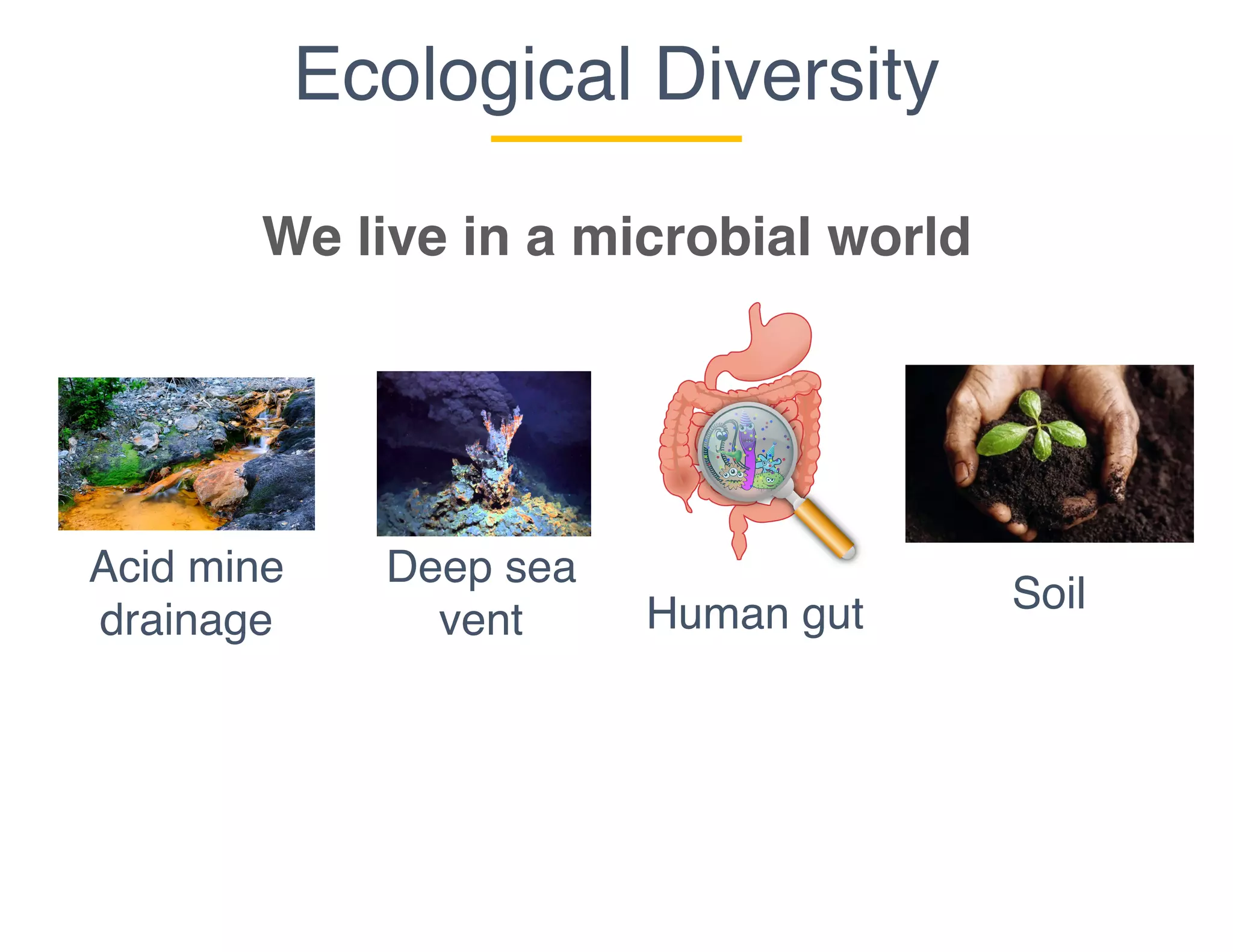 Acid mine
drainage Human gut
Ecological Diversity
We live in a microbial world
Deep sea
vent
Soil
 